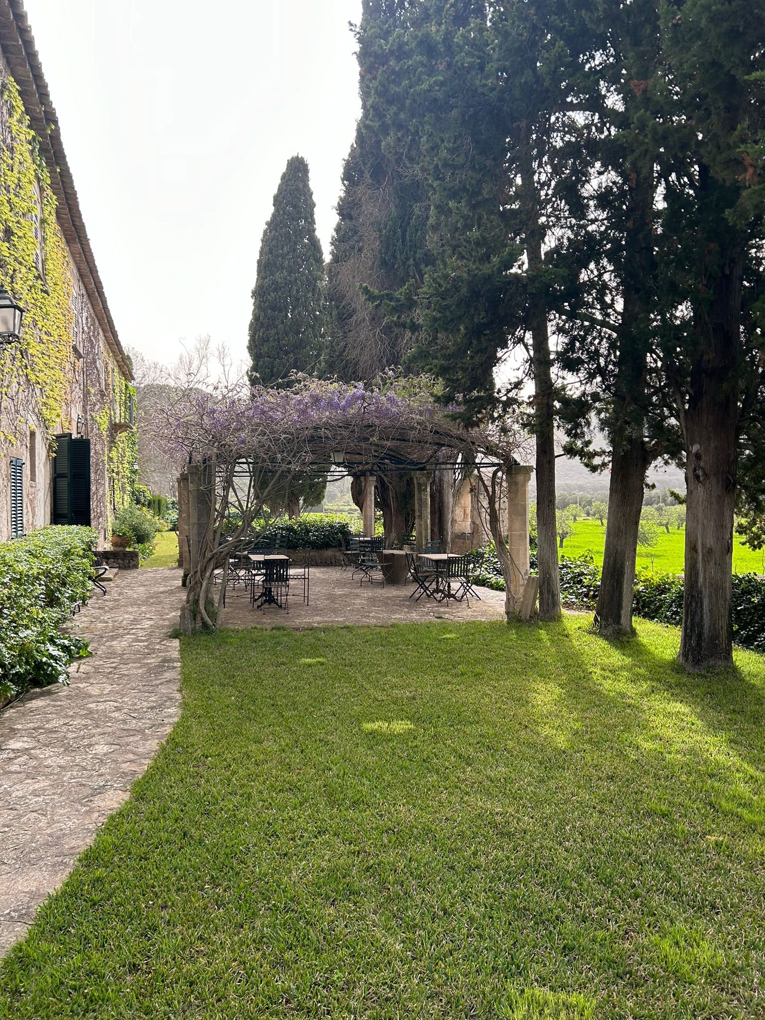 La Caricia de un Recuerdo